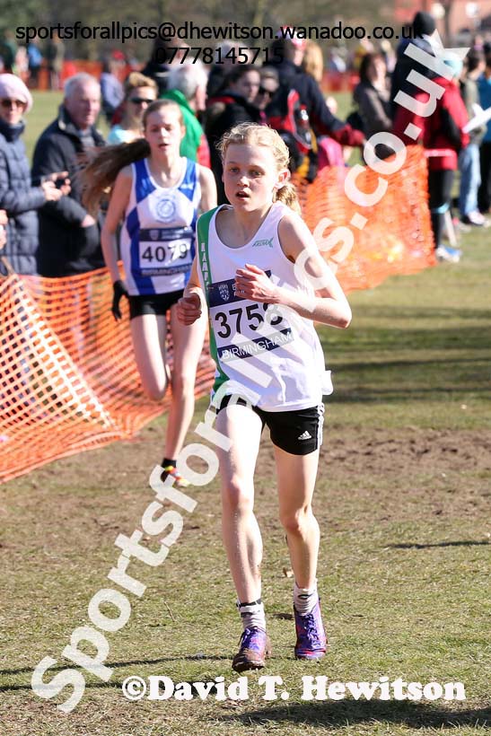 Girls under-15s Inter Counties Cross Country,  Cofton Park, Birmingham. Photo: David T. Hewitson/Sports for All Pics